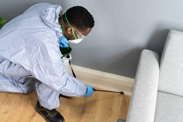 Emergency Pest Control Services in Sartell, MN